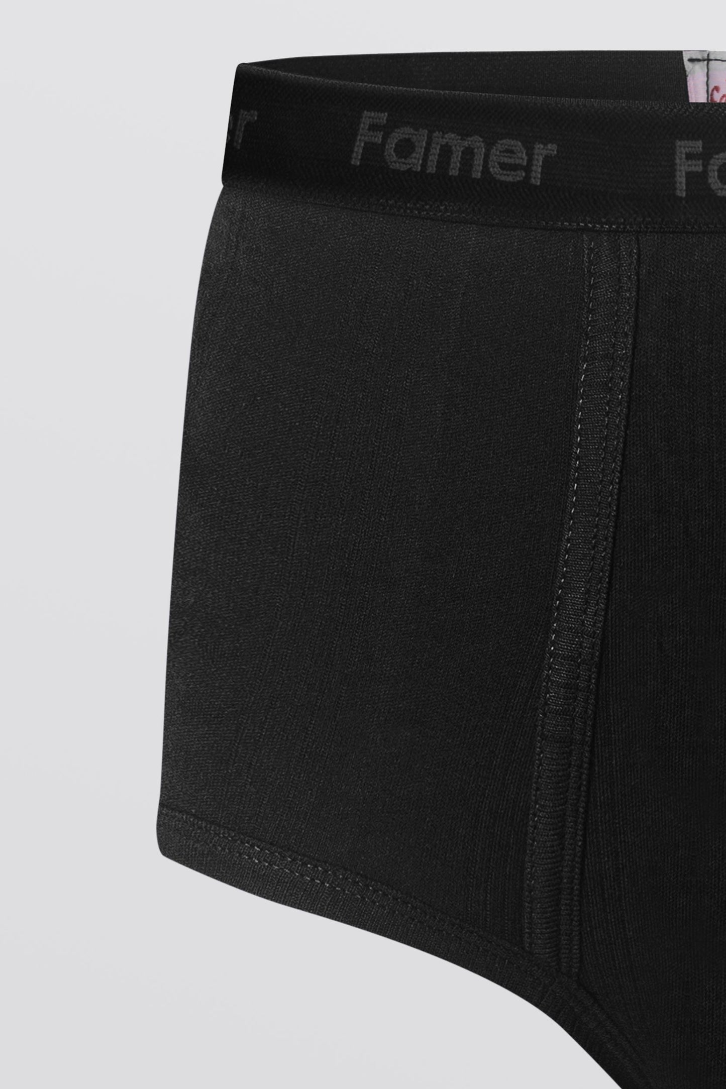 Men's Crystal Briefs